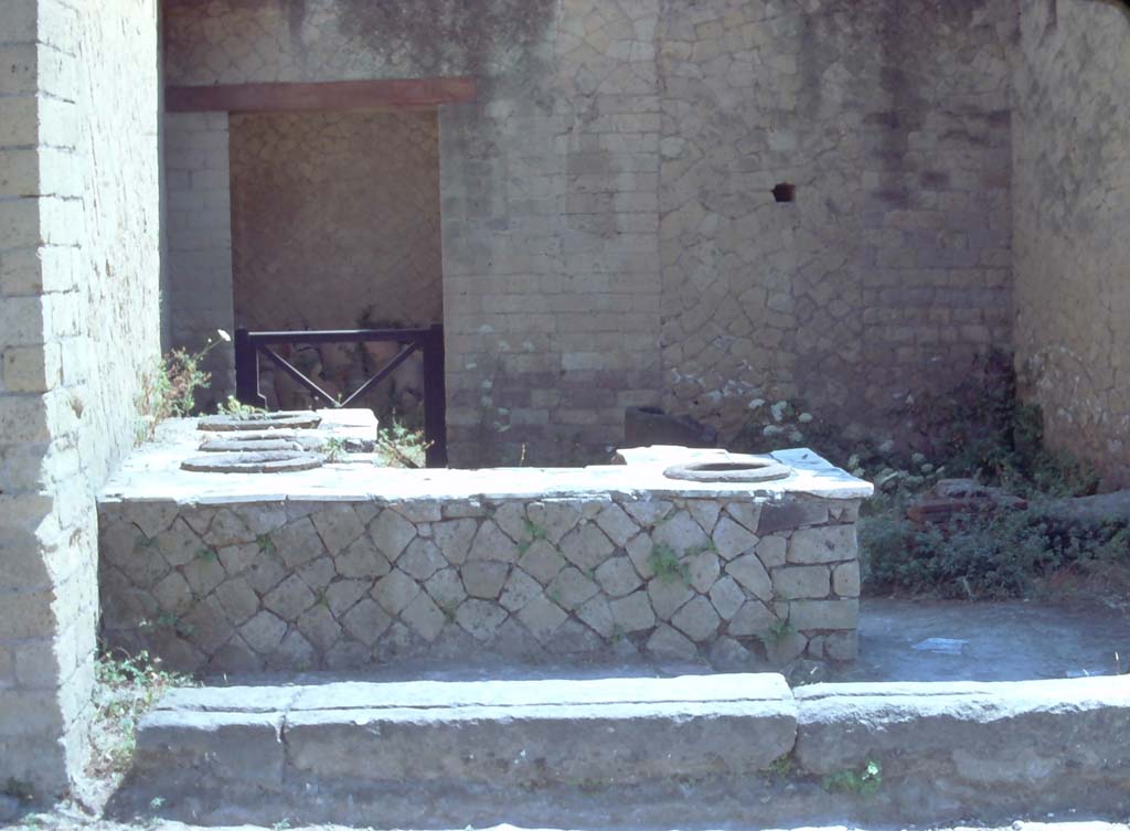 Ins Or II, 6, Herculaneum. 7th August 1975. General view across counter, looking east.
Photo courtesy of Rick Bauer, from Dr George Fay’s slides collection.